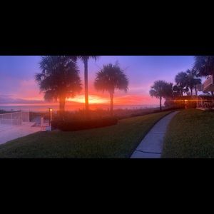 Meet your Posher, Ella